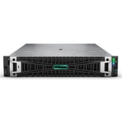 SERVER DL385 GEN11 9124/P77245-425 HPE
